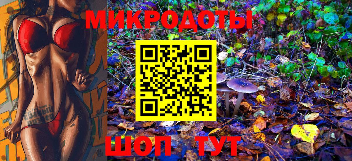 Чайковский  Галлюциногенные грибы прущие грибы  Вход с VPN 